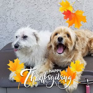 Meet your Posher, Weng